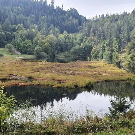 Nani Kleines Wiesental